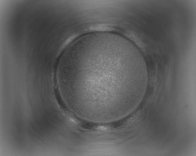 X0000067910111200604201415