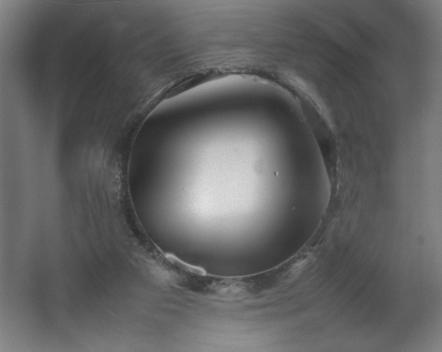 X0000067910113200604201415