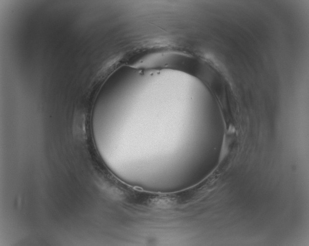 X0000067910115200604201414