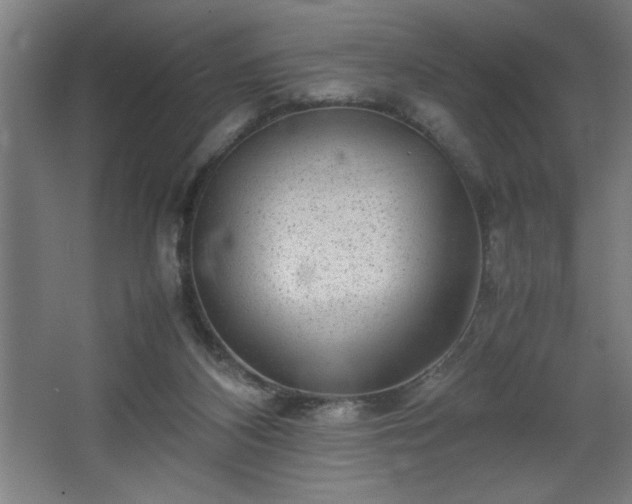 X0000067910116200604201414