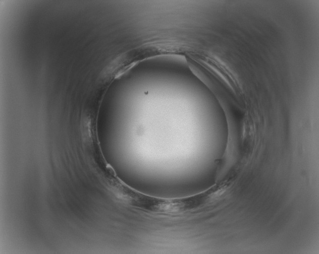 X0000067910117200604201414