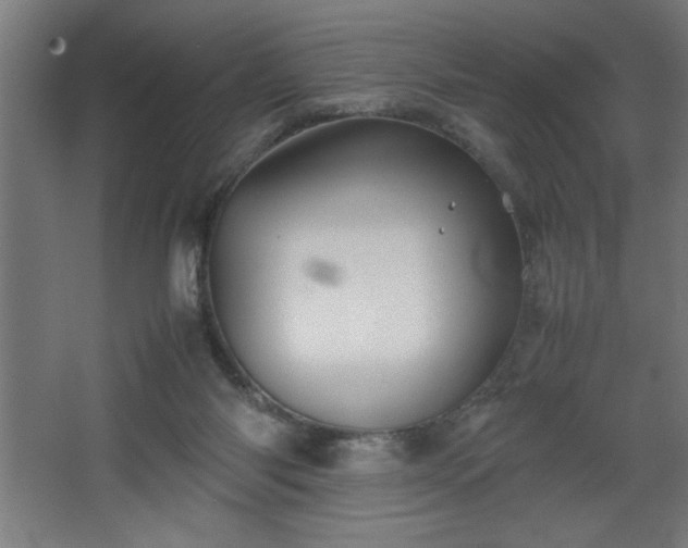 X0000067910118200604201414