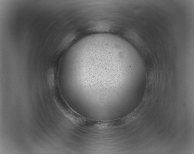 X0000067910120200604201414