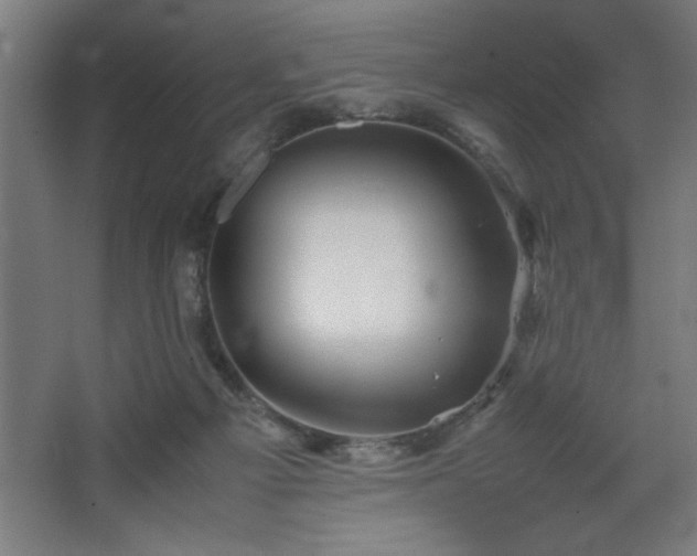 X0000067910121200604201414