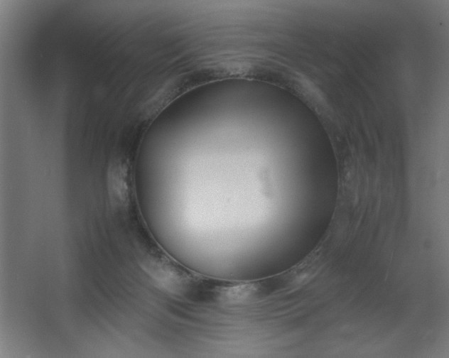 X0000067910122200604201414