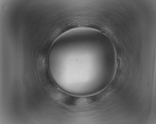 X0000067910123200604201414