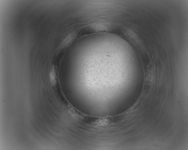 X0000067910124200604201414