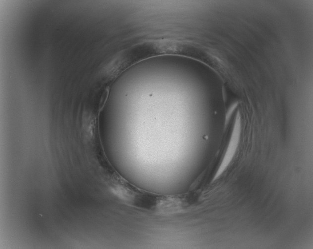 X0000067910125200604201414