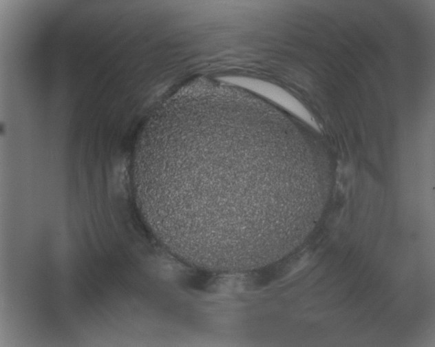 X0000067910127200604201414