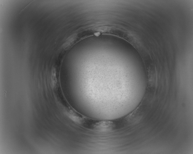 X0000067910128200604201414