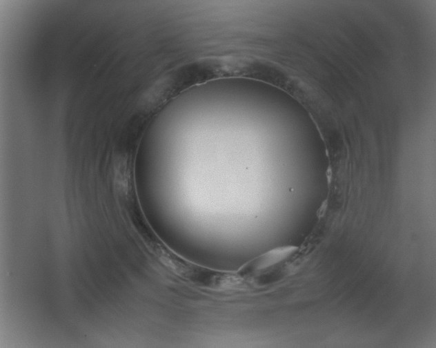 X0000067910129200604201414