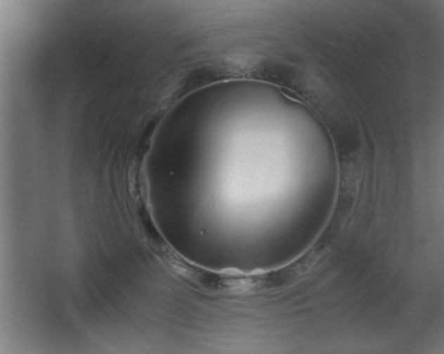 X0000067910131200604201414