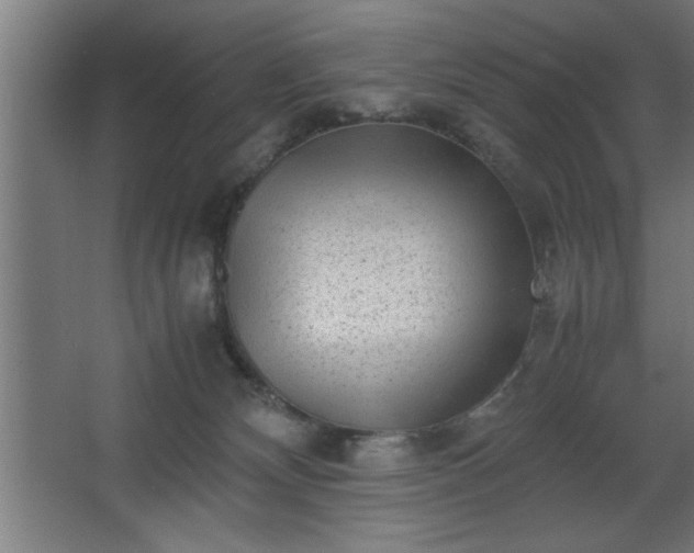 X0000067910132200604201414