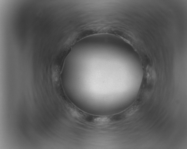 X0000067910133200604201414