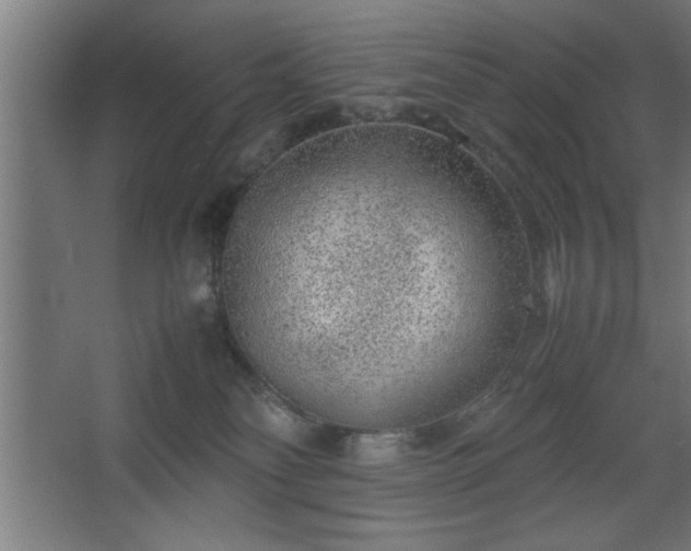 X0000067910134200604201414