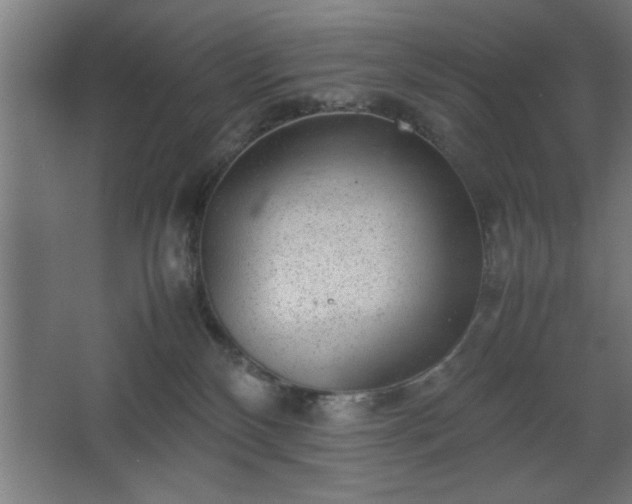 X0000067910136200604201414