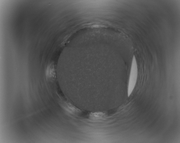 X0000067910137200604201414