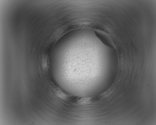 X0000067910138200604201414