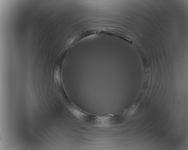 X0000067910143200604201414