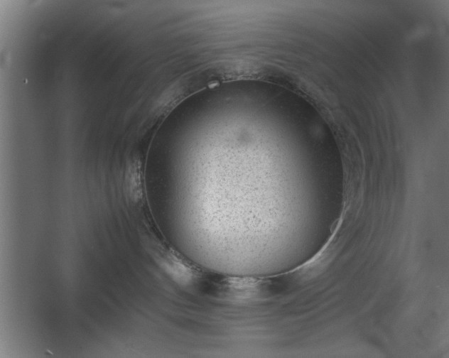 X0000067910144200604201414