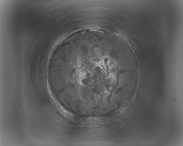 X0000067910145200604201413