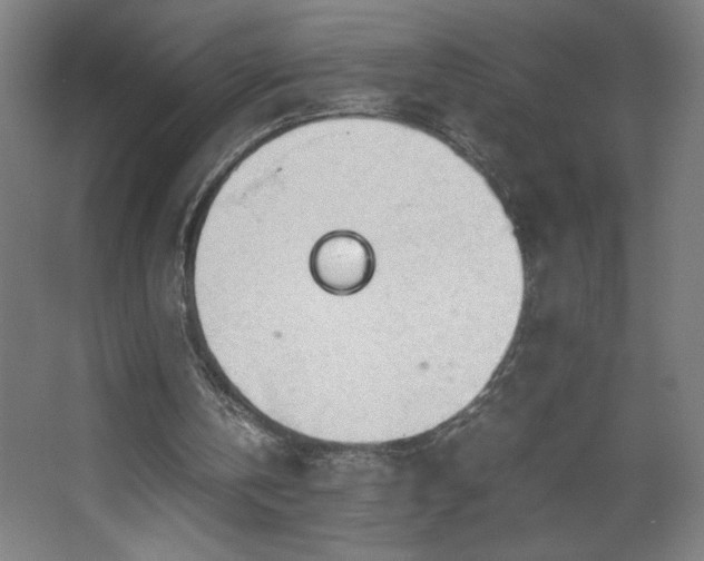 X0000067910146200604201413