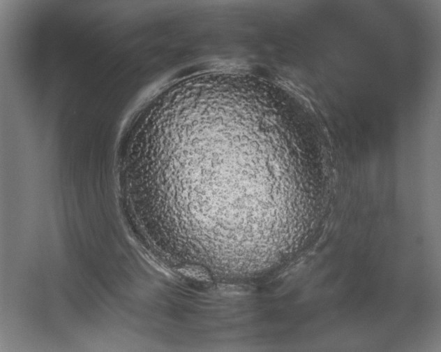 X0000067910149200604201413