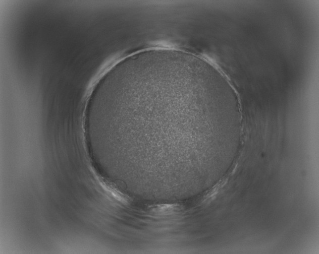 X0000067910151200604201413