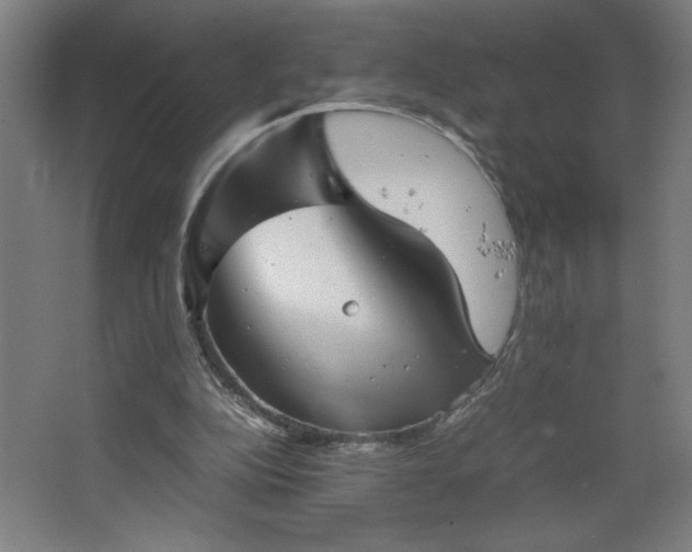 X0000067910152200604201413