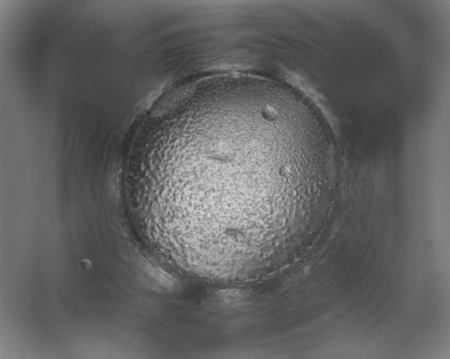 X0000067910153200604201413