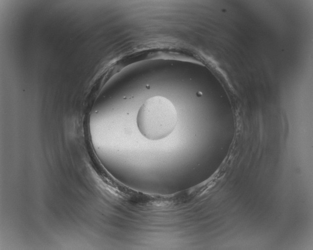 X0000067910154200604201413