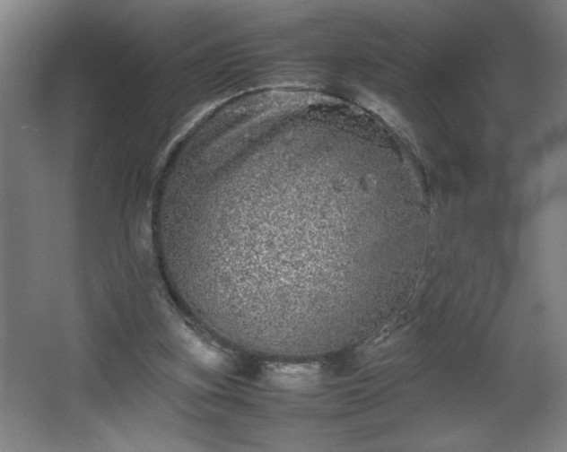 X0000067910155200604201413