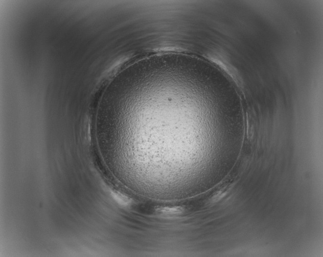 X0000067910157200604201413