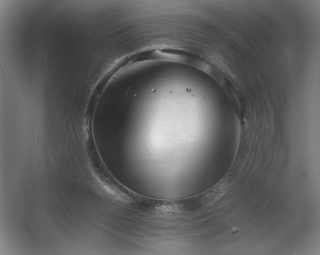 X0000067910160200604201413