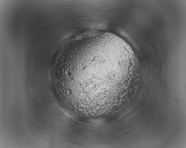 X0000067910161200604201413