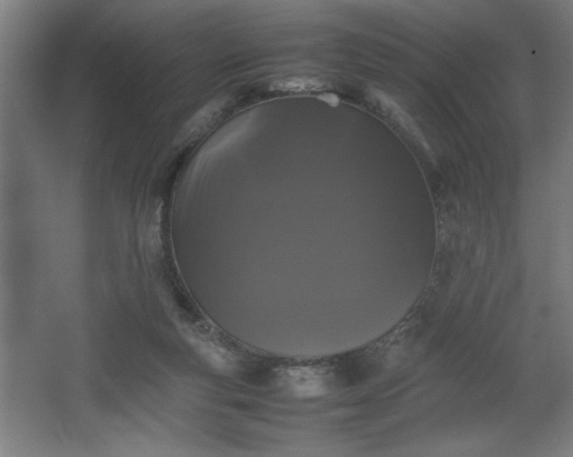 X0000067910163200604201413