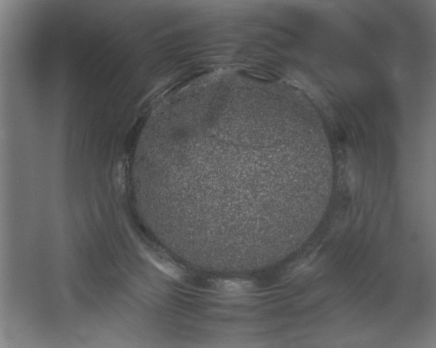 X0000067910165200604201414