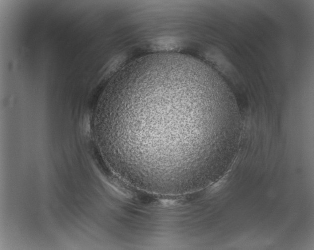 X0000067910166200604201414