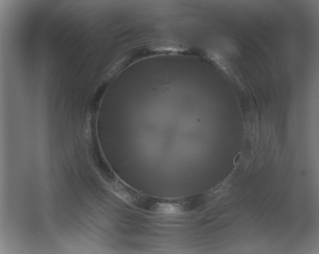 X0000067910167200604201414