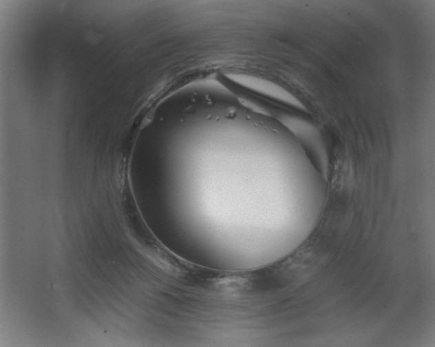 X0000067910168200604201414