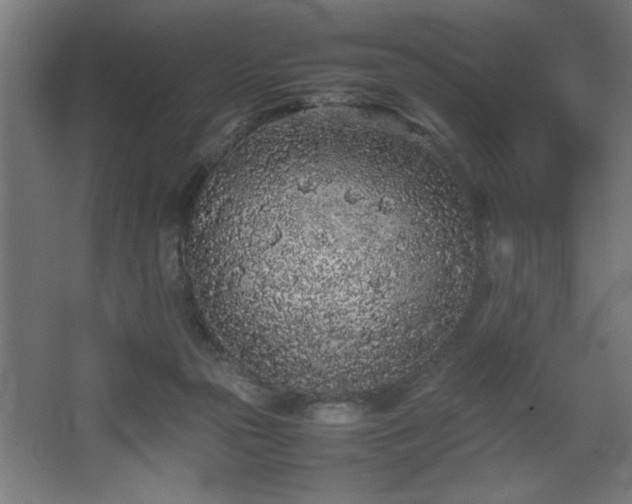 X0000067910169200604201414