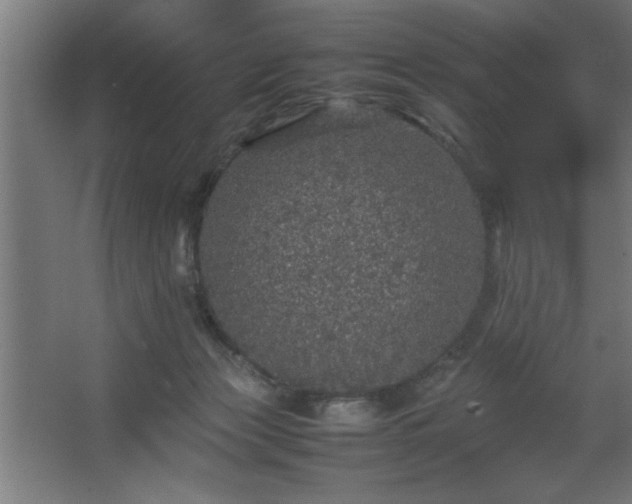 X0000067910173200604201414