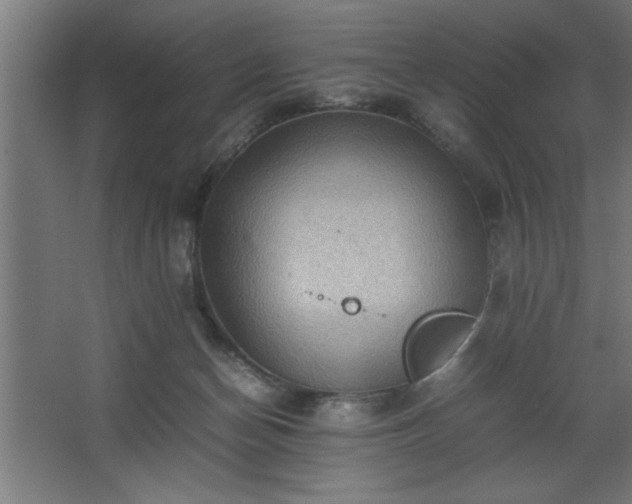 X0000067910174200604201414