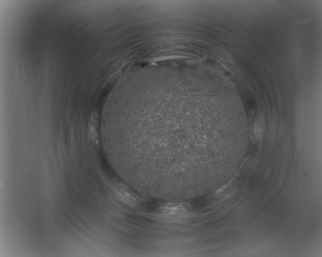 X0000067910175200604201414