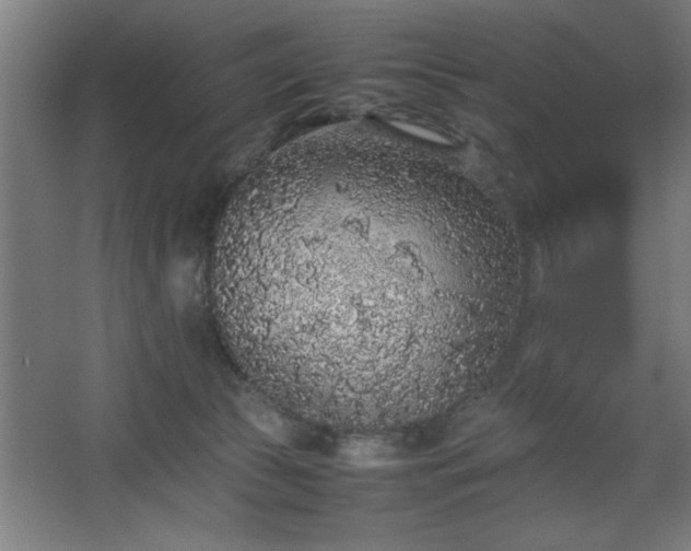 X0000067910177200604201414