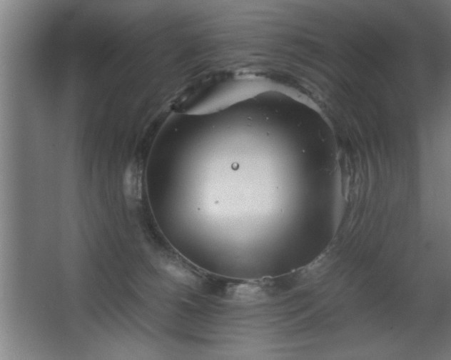 X0000067910180200604201414