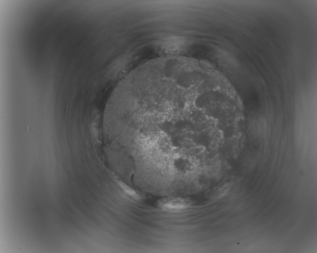 X0000067910181200604201414