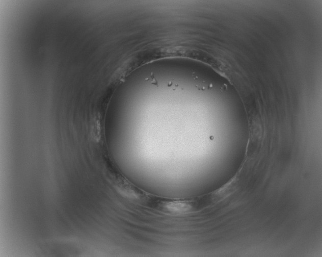 X0000067910183200604201414