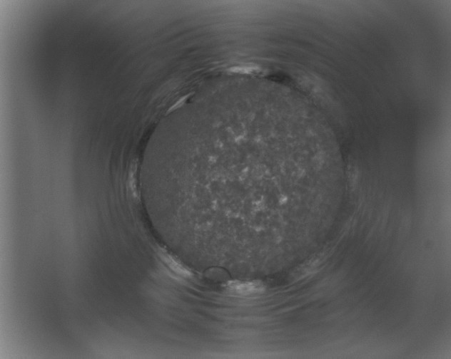 X0000067910185200604201414