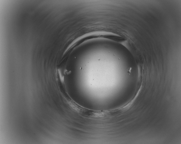 X0000067910190200604201414